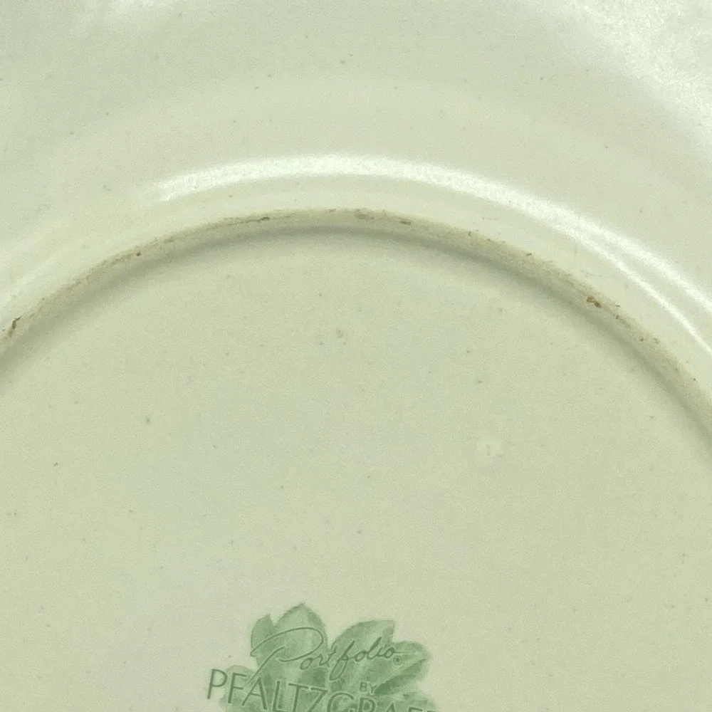 Portfolio Pfaltzgraff Naturewood Dinner Plates 11